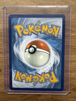 Horsea (067/064) Shrouded Fable Illustration Rare Pokemon Card English NM - Image 2