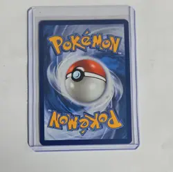 Pokemon 1st Partner Pack 30th Anniversary Kanto Set BulbasaurCharmander Squirtle - Image 4
