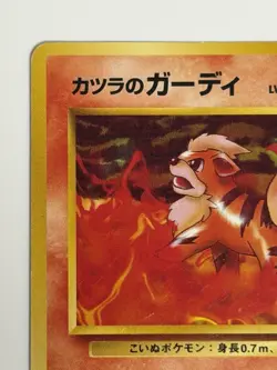 Blaine's Growlithe No.058 Gym Heroes Old Back vintage Japanese Pokemon Card - Image 2