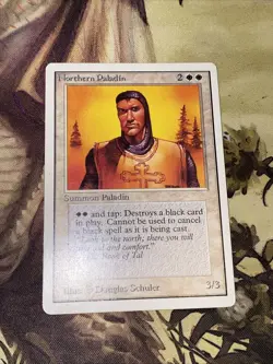 Northern Paladin X1 Mtg Unlimited Lp/Lp- - Image 1