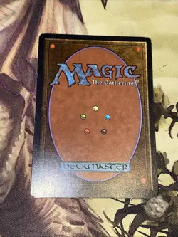 Northern Paladin X1 Mtg Unlimited Lp/Lp- - Image 2