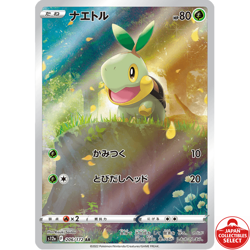 Pokemon Card Turtwig 206/172 S12a Crown Zenith Art Rare Japanese - Image 1