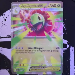Pokemon TCG - Ascended Heroes - Mega Meganium EX - 034 - Black Star Promo Jumbo - Image 1