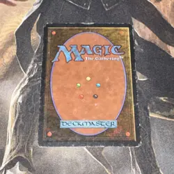 Personal Incarnation X1 Mtg Unlimited Hp - Image 2