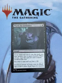 Plumb the Forbidden Commander: Bloomburrow Regular - Image 1