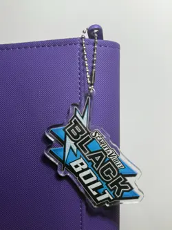 Pokemon Scarlet & Violet: Black Bolt Tag/Key Chain Organiser Set - Image 2
