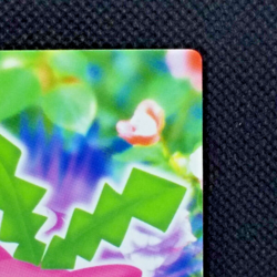 Hoppip Pokemon Zukan Card Game No.004 Carddass Nintendo Japanese Very Rare F/S - Image 3