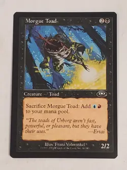 MTG Morgue Toad (Planeshift/Black/C) - BGM - Image 1