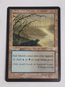 MTG Salt Marsh (Invasion/Land/U) - BGM - Image 1