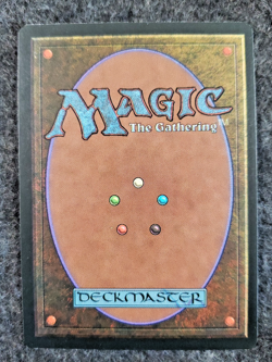 Magic the Gathering ~ MTG ~ 1x White Knight ~ M/NM ~ REVISED (DS3D1K7) - Image 2