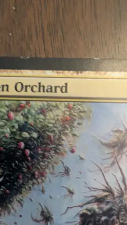 Forbidden Orchard Champions of Kamigawa Regular - Image 2