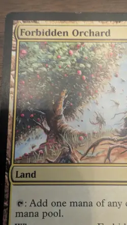 Forbidden Orchard Champions of Kamigawa Regular - Image 4