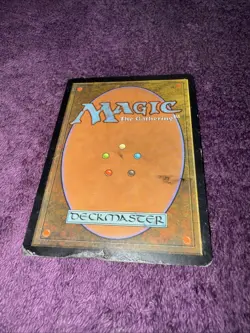 Magic: the Gathering MTG Tempest Recycle Regular MP - Image 2