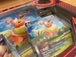 Pokemon TCG: Flareon V MAX Premium collection TCG New & Sealed - Image 4