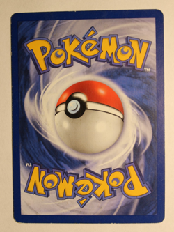 Charmeleon Dutch Base Set Uncommon 24/102 Moderately Played - Pokemon Card - Image 2