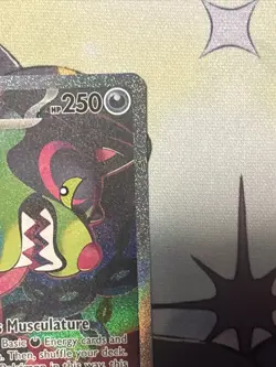 Okidogi ex Pokemon Trading Card 250 HP Holo Rare 090/064 - Image 4