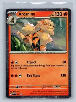 Arcanine 011 Holo Promo Scarlet & Violet Promo Pokemon NM/M - Image 1