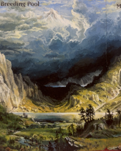 Magic MTG Altered Hand Painted Breeding Pool and Misty Rainforest - Image 2