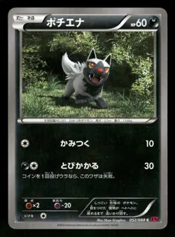 2014 Moderately Played Pokemon Poochyena 052/088 Phantom Gate Japanese - Image 1