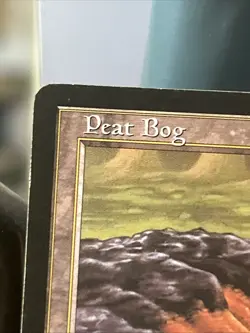 Peat Bog - Mercadian Masques - Magic The Gathering - Image 2