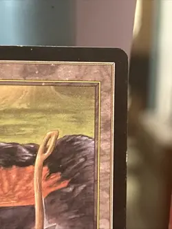 Peat Bog - Mercadian Masques - Magic The Gathering - Image 3
