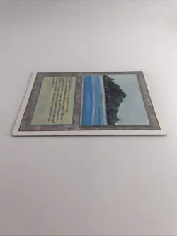 Tropical Island Revised Edition Regular - Image 4