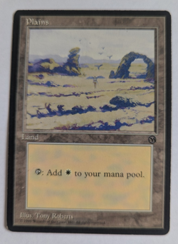Magic Mtg 1996 Arena League Plains lightly played - Image 1
