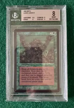 Living Lands - BETA - MTG - BGS 8. NM-MT. Quad ++ - Image 1