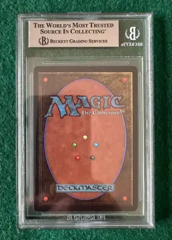 Living Lands - BETA - MTG - BGS 8. NM-MT. Quad ++ - Image 2