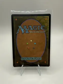 Snapcaster Mage - Foil (Borderless) (Chocobo Track Foil) Final Fantasy - Mtg NM - Image 2