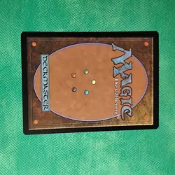 Delina, Wild Mage-Adventures In The Forgotten Realms-Showcase-Regular-317-LP - Image 2