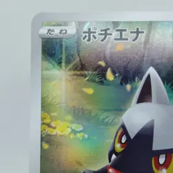 Pokemon Cards Poochyena AR 208/172 S12a VSTAR Universe NM Japanese j561 - Image 2