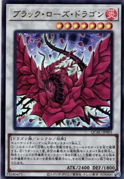 YuGiOh! TCG Black Rose Dragon QCAC-JP003 Ultra Rare Japanese - Image 1