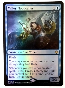 Valley Floodcaller - Bloomburrow (BLB) - FOIL - EN - R 0079 - Image 1
