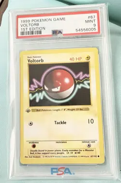 Pokemon TCG Voltorb 67/102 Base Set (Shadowless) 1st Edition PSA 9 40HP - Image 1