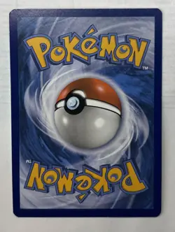 2017 Pokemon XY Black Star Promo ArCanine Brake Evolution Box - Image 2