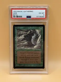 Web – MTG Beta (1993) – PSA 6 EX-MT - Magic the Gathering - Image 1
