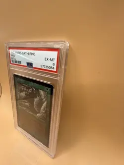 Web – MTG Beta (1993) – PSA 6 EX-MT - Magic the Gathering - Image 3