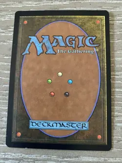 Horned Turtle Portal Simplified CHINESE Alternate Art Magic MTG -NM Free Ship - Image 2