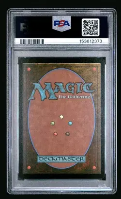 MTG Final Fantasy - A Realm Reborn Chocobo Track Foil PSA 10 - Image 2