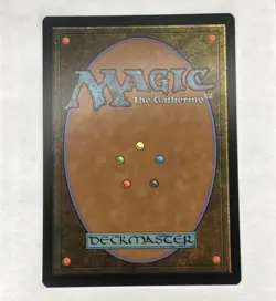 MTG - Sword of the Animist | AFC | Regular | 218 | NM - Image 2
