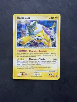 Raikou LV.42 16/132 -CRACKED ICE Holo RARE - Secret Wonders- POKEMON CARD - EX - Image 1