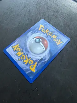 Raikou LV.42 16/132 -CRACKED ICE Holo RARE - Secret Wonders- POKEMON CARD - EX - Image 3