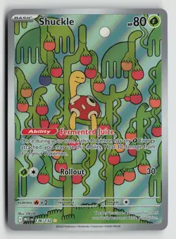 Shuckle 136/132 Pokemon ME01: Mega Evolution Illustration Rare NM - Image 1