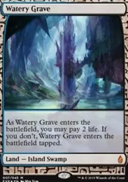 MTG English Watery Grave NM Foil Zendikar Expeditions - Image 1
