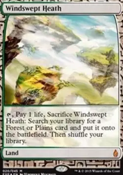 MTG English Windswept Heath NM Foil Zendikar Expeditions - Image 1