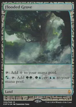 MTG English Flooded Grove NM Foil Zendikar Expeditions - Image 1