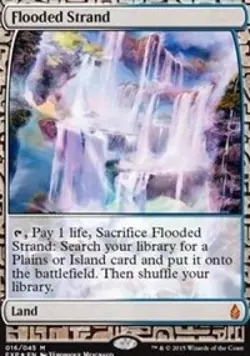 MTG English Flooded Strand NM Foil Zendikar Expeditions - Image 1