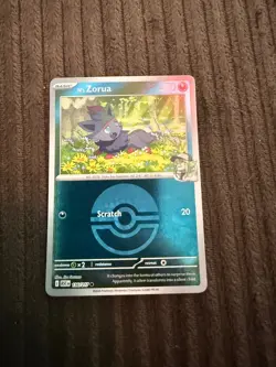 N's Zorua (Poke Ball) 136/217 Common Ascended Heroes Pokemon Reverse Holo NM - Image 1