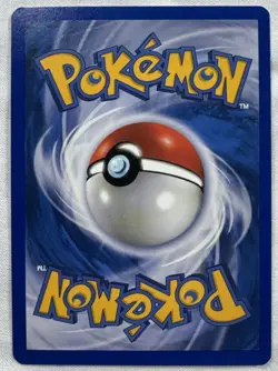 Pokemon TCG Eevee 63/100 Sandstorm NM - Image 2